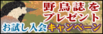�쒹�����v���[���g