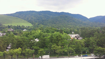 奈良公園から春日山原始林を望む