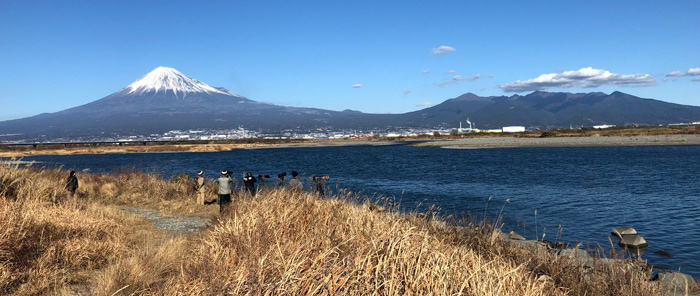 富士川河口探鳥風景