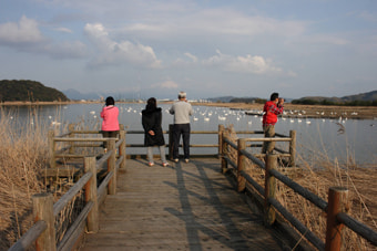米子水鳥公園の桟橋から眺める大山