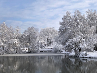 冬の「呉羽山公園都市緑化植物園」