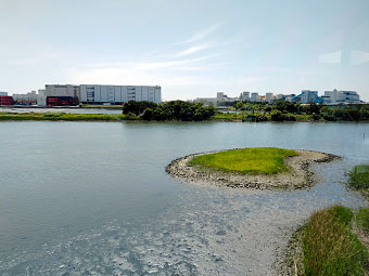 東京港野鳥公園