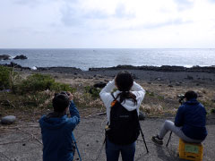 海鳥観察会のようす