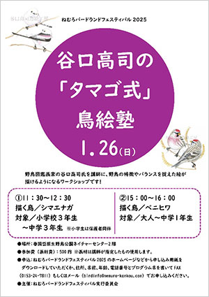 谷口高司の「タマゴ式」鳥絵塾（ポスター）