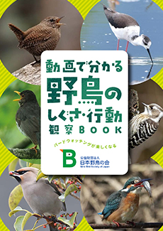 動画で分かる野鳥のしぐさ・行動観察BOOK