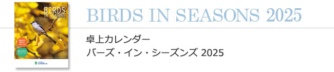 卓上カレンダー バーズ・イン・シーズンズ 2025