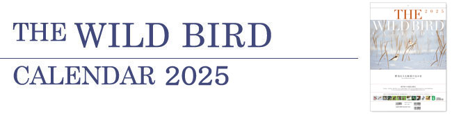 The WILD BIRD CALENDAR 2025