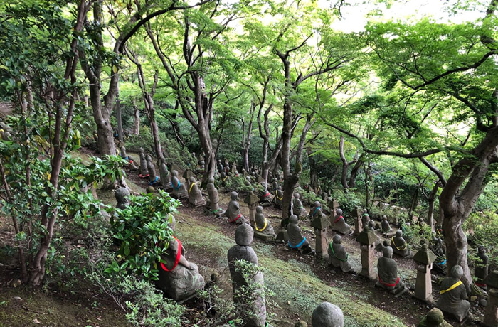 日本野鳥の会 : 呉羽山（富山県富山市）