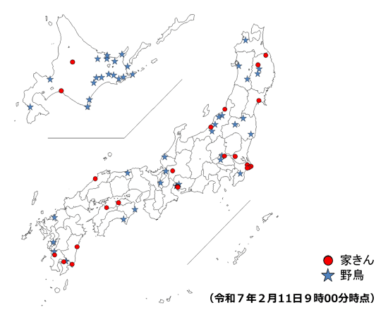 令和6年度 国内における高病原性及び低病原性鳥インフルエンザ発生状況（令和7年2月11日9時00分時点）