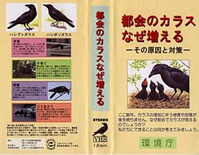 カラス対策ビデオの表紙