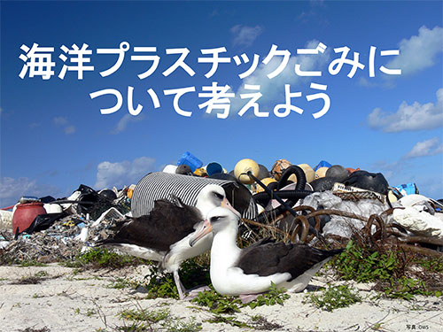 日本野鳥の会 教材 海洋プラスチックごみについて考えよう を作成しました