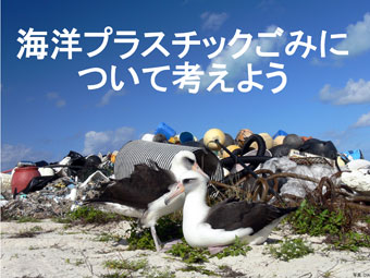 小冊子「海鳥を守るために 始めよう 脱プラスチック生活！」