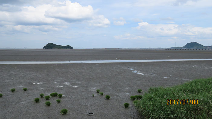 福岡県北九州市 曽根干潟