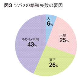 ツバメの繁殖失敗の要因