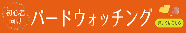 初心者向けバードウォッチングのご案内