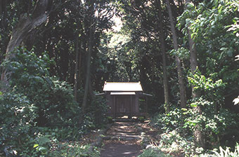 噴火前 社殿を取り囲む森