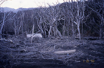 2003年1月 火山泥流にのまれた社殿と鳥居のあと