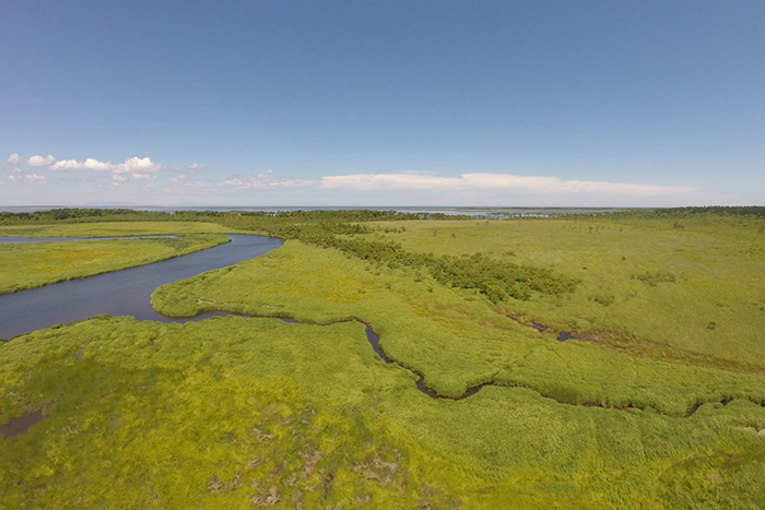 三菱UFJ信託銀行野鳥保護区酪陽