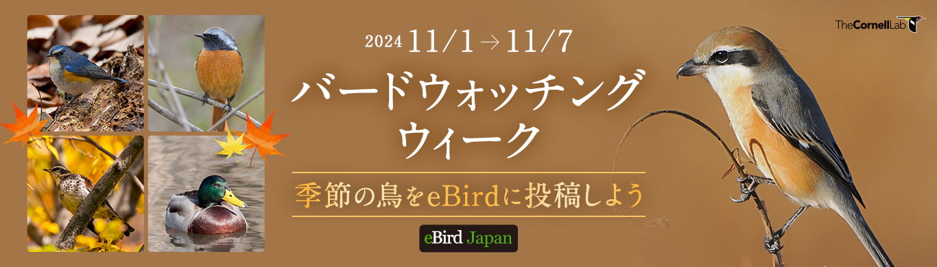 「バードウォッチングウィーク！季節の鳥をeBirdに投稿しよう」キャンペーン