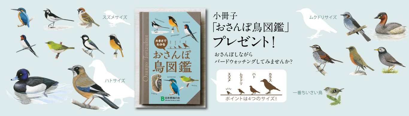 気になるあの鳥がわかる小冊子「おさんぽ鳥図鑑」プレゼント！